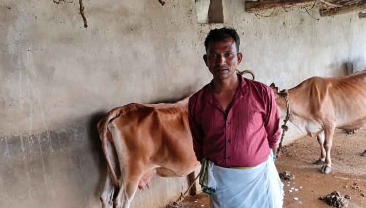 पशुपालन विभाग की पहल से पशुपालक हीरालाल ने बढ़ाया दुग्ध उत्पादन, आत्मनिर्भरता की ओर बढ़े कदम