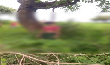CG : जंगल में युवती का शव मिलने से मचा हड़कंप, पेड़ पर लटका मिला शव, जांच में जुटी पुलिस