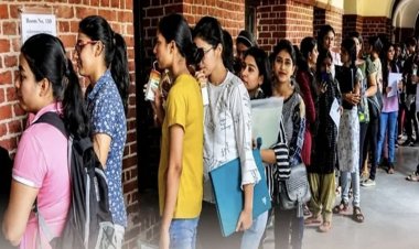 CG – हाथियों का आतंक: जंगल में भैंस चरा रहे ग्रामीण पर नर हाथी ने किया हमला, मौके पर मौत