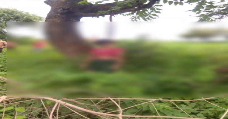 CG : जंगल में युवती का शव मिलने से मचा हड़कंप, पेड़ पर लटका मिला शव, जांच में जुटी पुलिस